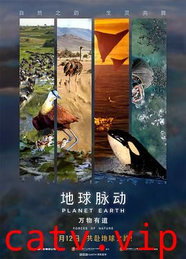 地球脉动：万物有道预告片