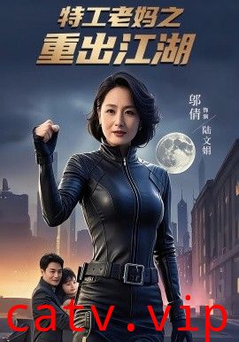 特工老妈之重出江湖